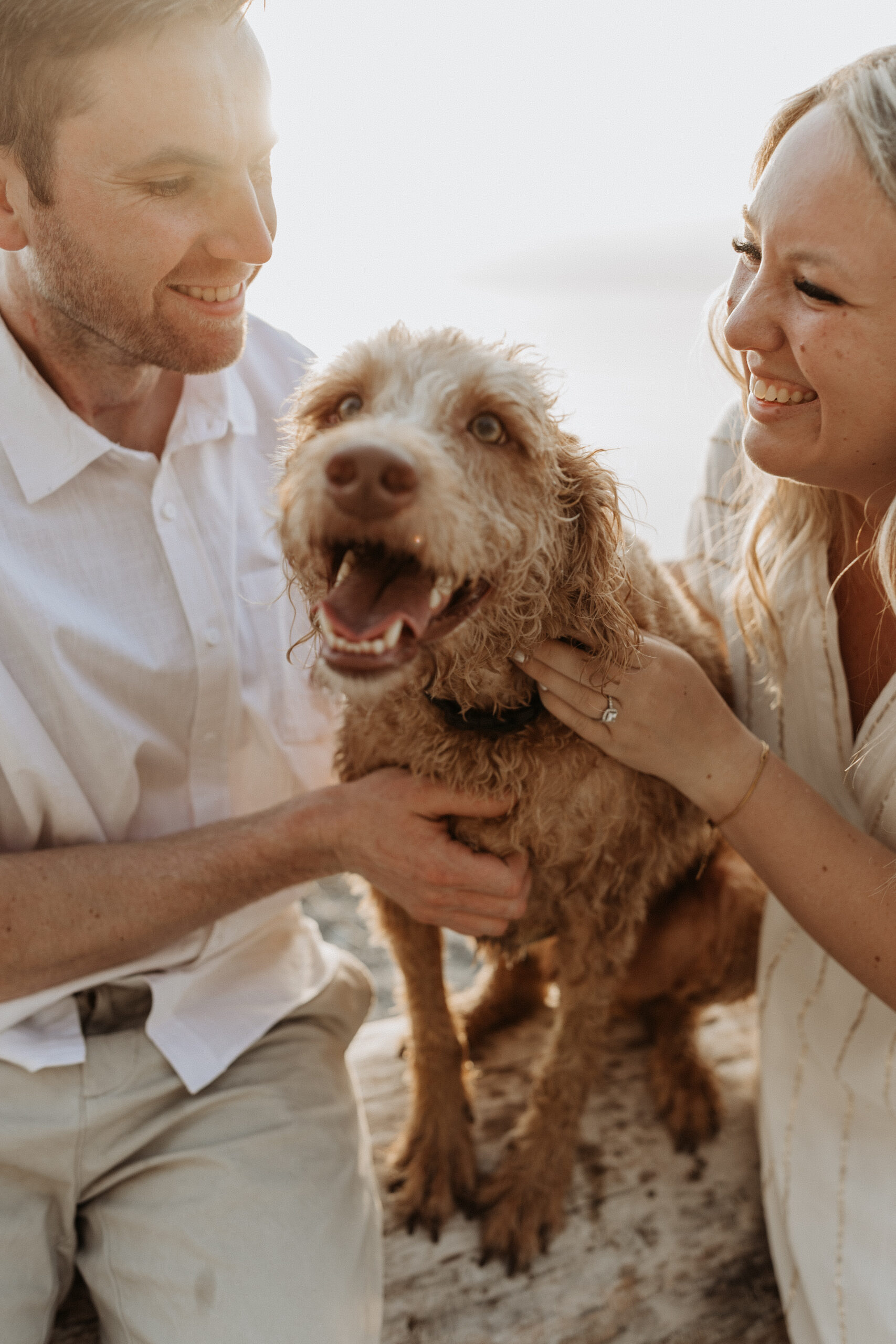 Smiling dog with his people at the beach
